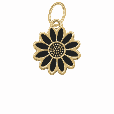 New Black Daisy