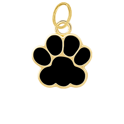 Black Paw Charm