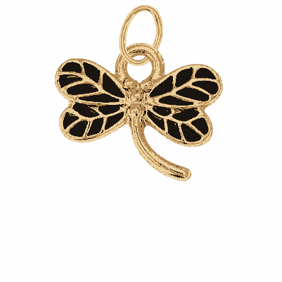 New Dragonfly