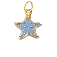 Blue Star Fish