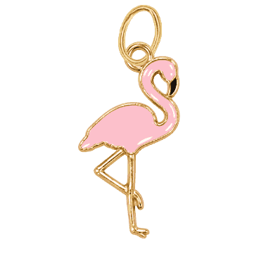 Flamingo Pink