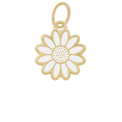 New White Daisy
