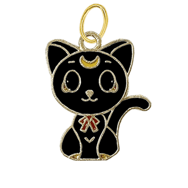 Black Cat Moon Charm