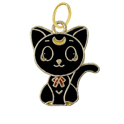 Black Cat Moon Charm