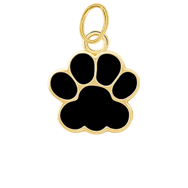 Black Paw Charm