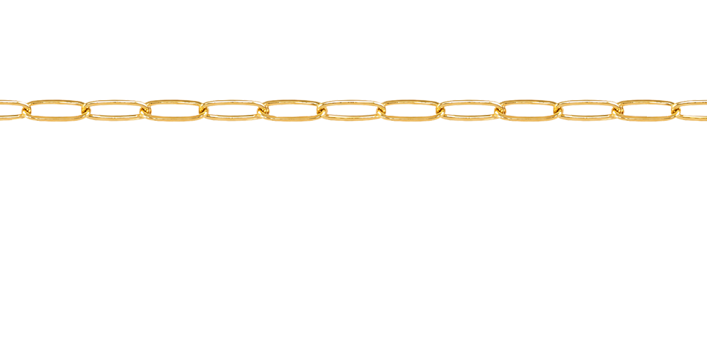 3 Charm Bracelet Chain New